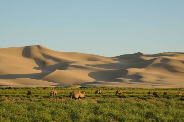 Umnugobi Province Escape To Mongolia   Small 