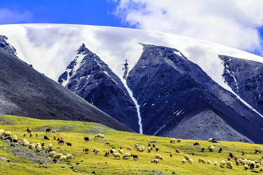 Sutai Khairkhan Mountain In Gobi Altai - Escape To Mongolia