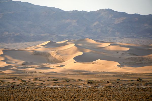 Camel Riding - Escape To Mongolia